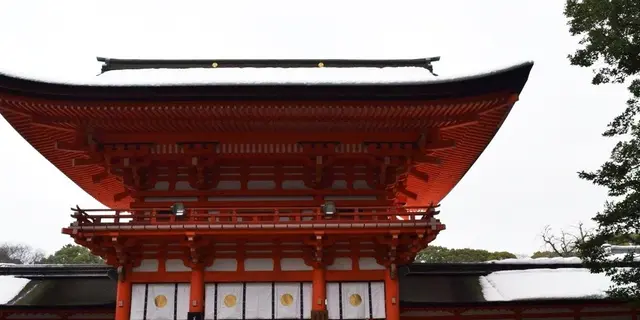 【京都】下鴨神社周辺をおでかけ🏃