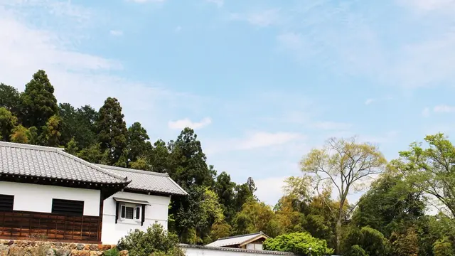 埼玉が誇る、和と北欧のダブルで楽しめる美しい景観お出かけプラン！