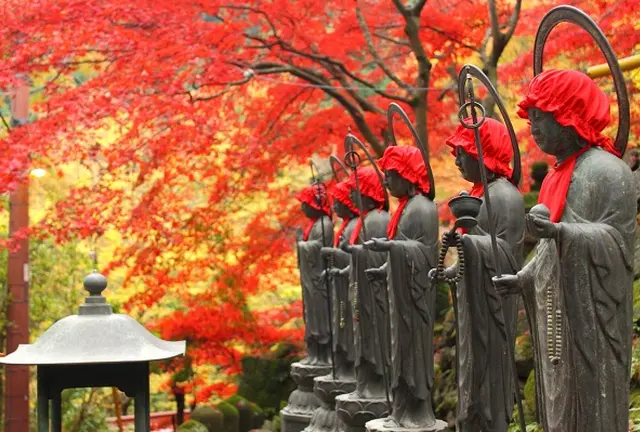 伊勢原大山寺紅葉🍁