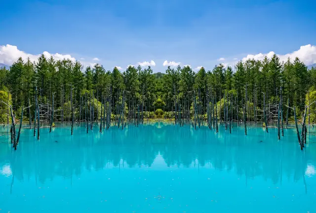全国の行きたいところ！🌳♨️