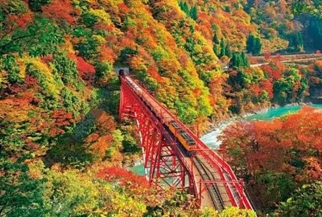 富山完全満喫。黒部峡谷と立山アルペンルート