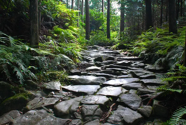 尾鷲
