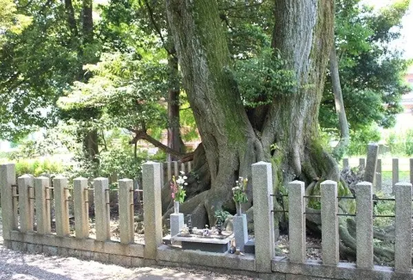 古戦場には首塚があちこちに