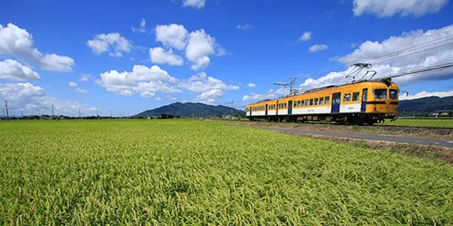 出雲大社と松江を電車に乗って堪能する旅。
