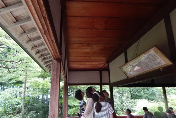 血天井
