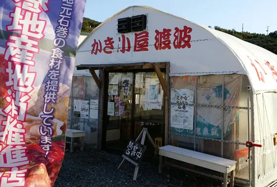 こ～んなところはどうですか？