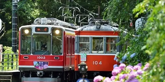 梅雨だから…そして今だからこそ敢えて行く！箱根の山であじさい＆温泉ざんまい