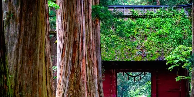 新春🎍開運旅🎍でパワーアップ💪