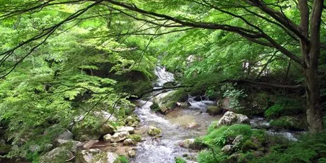 わんこと茨城
