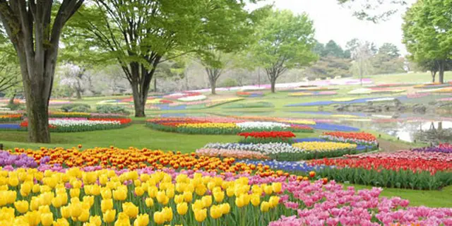 立川・国立・国分寺でぶらぶらのんびり定番デート！