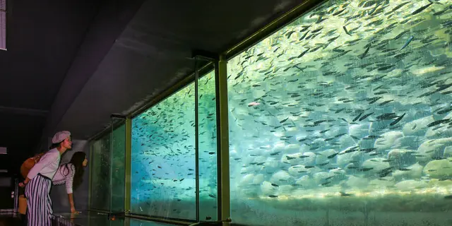 【新潟県村上市】鮭のまち・村上 鮭づくしの旅