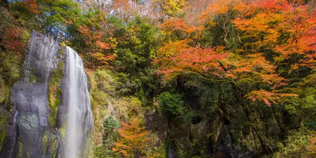 阿蘇 小国郷キャンプ場まとめ