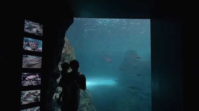 新潟上越市立の水族館「うみがたり」を含む子ども連れ向けおでかけプラン！