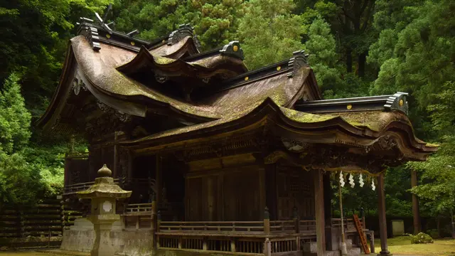 日本三大和紙の里「越前和紙」で紙漉き体験と神社巡り