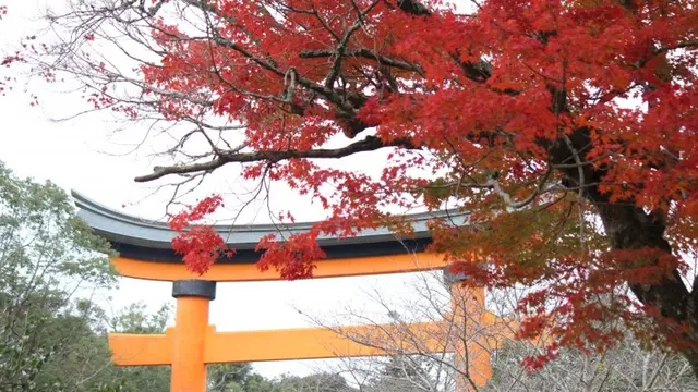 大分県の紅葉スポットめぐり