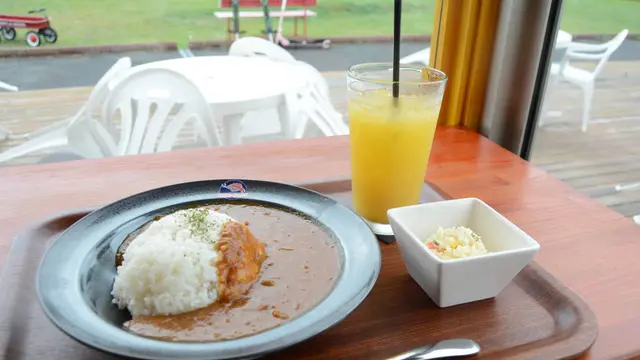 Best lunch spots & cafe in Kyoto Miyama - vol.1
