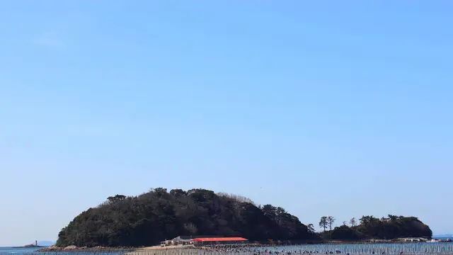 花咲かタイムズ【愛知県・西尾市】