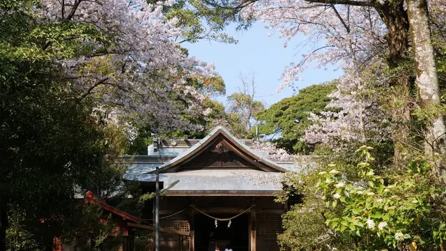 【宮崎恋旅♡】恋の始まりはみそぎから!宮崎・西都エリアで心を清めて恋の神々に近づく旅!