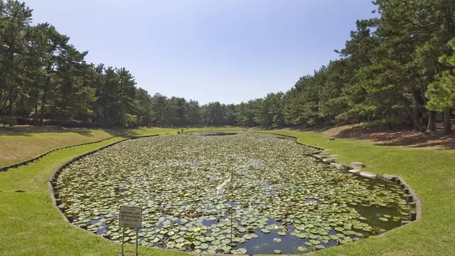 宮崎県は観光資源の宝庫!宮崎県の魅力を発見しよう!