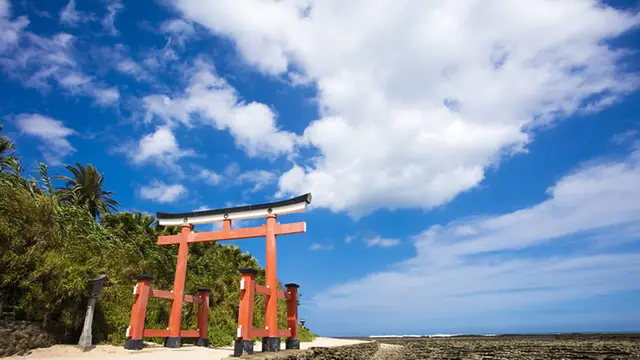 【宮崎・南部】開放感いっぱい!魅力あふれる青島や都井岬で、優しい自然の懐に包まれよう!