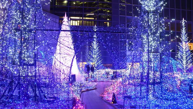 汐留でロマンチックな夜を