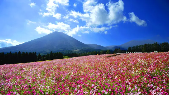 自然あふれる小林をぐるり癒されトリップへ