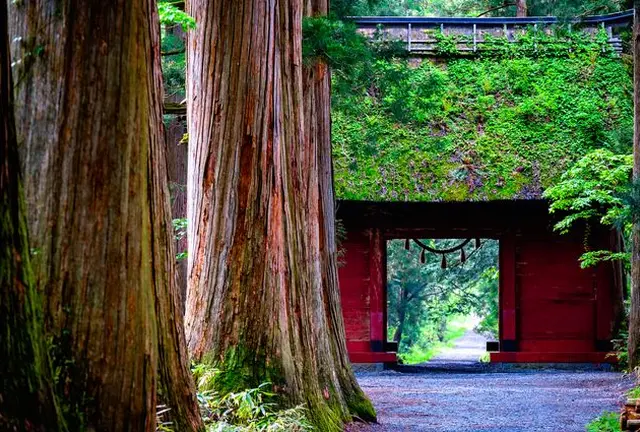 新春🎍開運旅🎍でパワーアップ💪