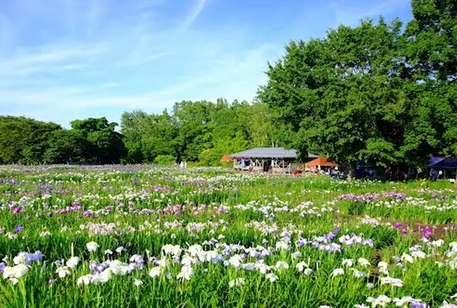 札幌地元民に愛され穴場♡まるごと北海道！