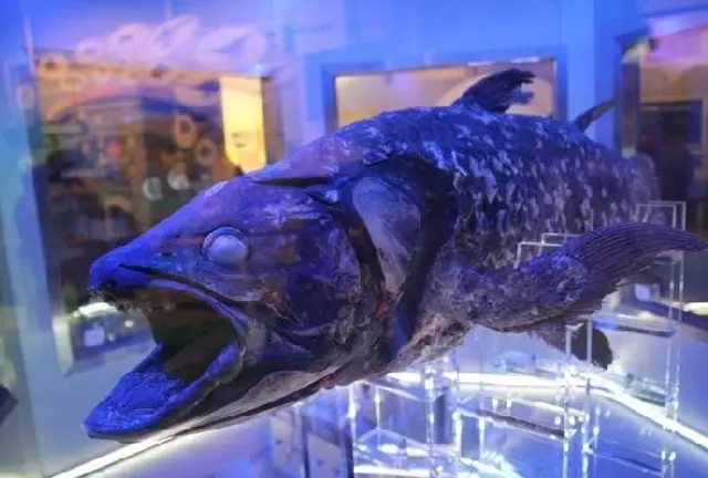 静岡水族館メイン旅行