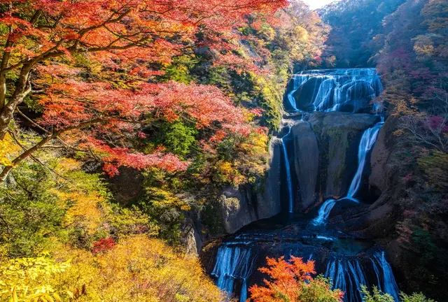 秋の茨城デート♪紅葉、味覚、キャンプ等スポット９選