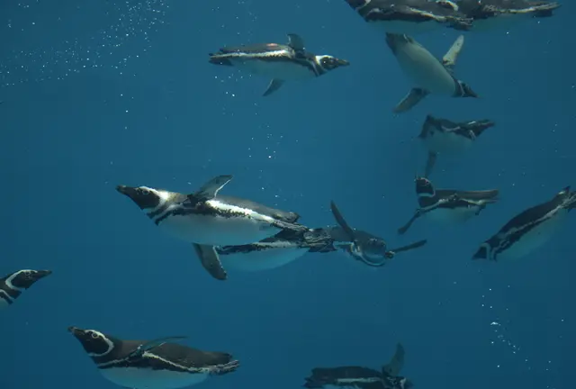 リニューアルオープンした水族館「うみがたり」と周辺観光スポット