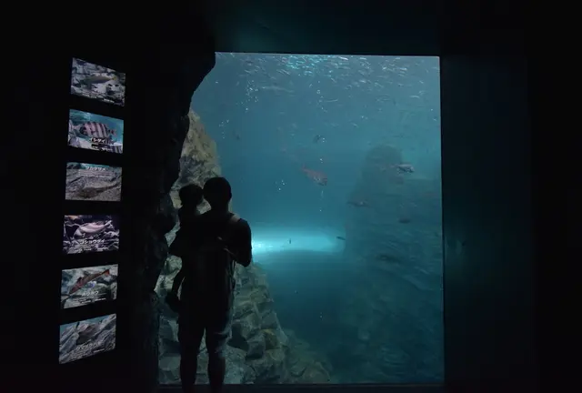 新潟上越市立の水族館「うみがたり」を含む子ども連れ向けおでかけプラン！