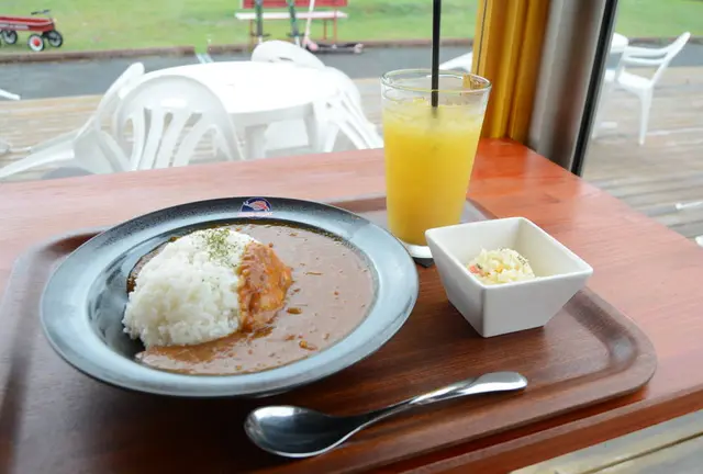 Best lunch spots & cafe in Kyoto Miyama - vol.1