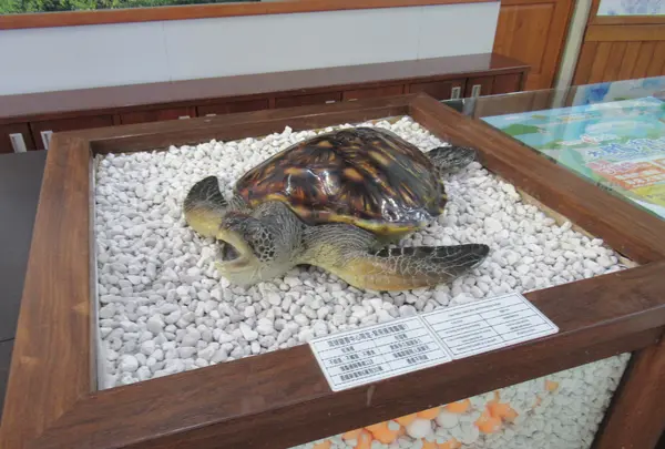 Xiaoliuqiu Visitor Centerの写真・動画_image_538471
