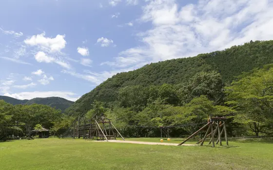 たくさんの木製遊具