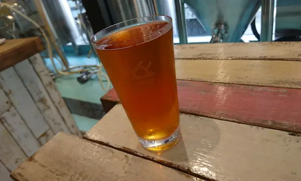 Y.Y.G. Brewery & Beer Kitchenの写真・動画_image_189489