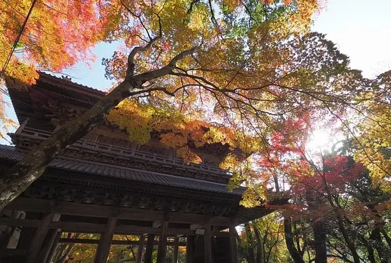 「永源寺」