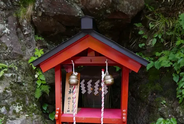 神橋の写真・動画_image_199352