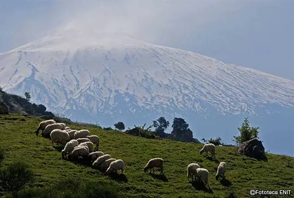エトナ火山