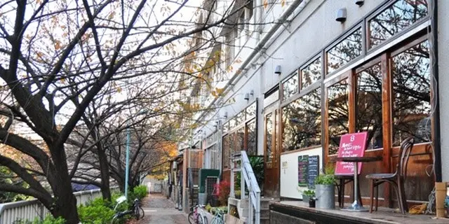 【中目黒】デートはのんびりランチから。目黒川沿いを歩くプラン👫