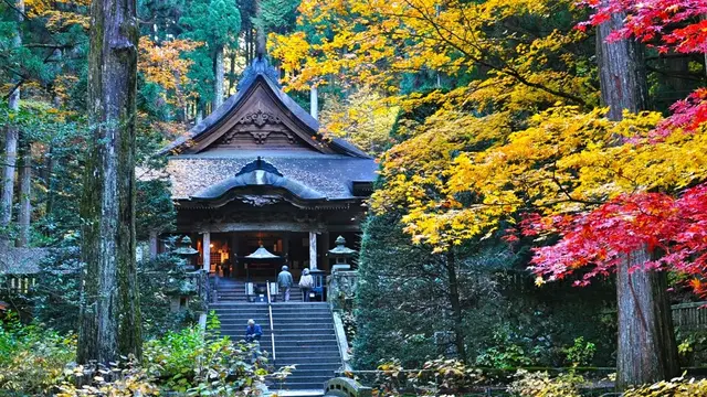 秋の駒ヶ根高原で紅葉を満喫!