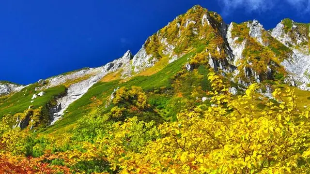 【９月下旬〜10月上旬】中央アルプス千畳敷カールの紅葉　 標高2,612ｍロープウェイで行ける絶景