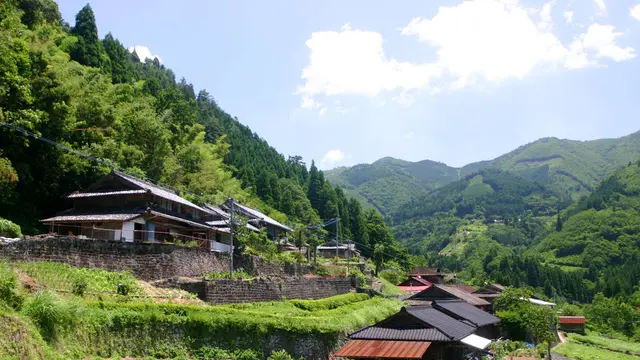 【椎葉村特集】歴史的景観の残る十根川集落と巨樹巨木を楽しむ旅