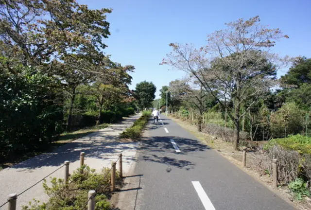 初心者にお勧め！多摩湖サイクリングロードとカフェめぐり