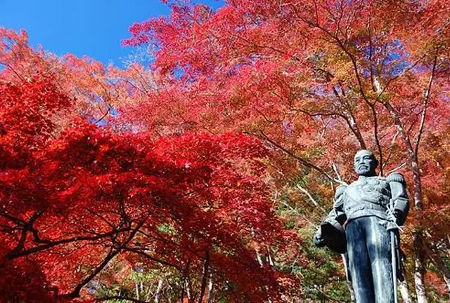 東郷公園と子の権現