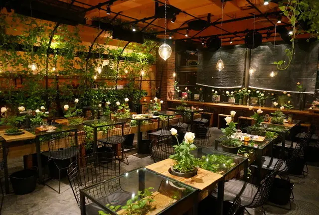 誰かに教えたくなるお洒落cafe🌿🐇