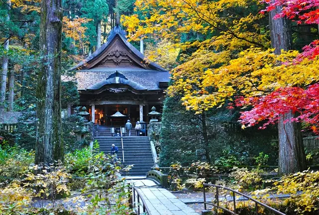 秋の駒ヶ根高原で紅葉を満喫！