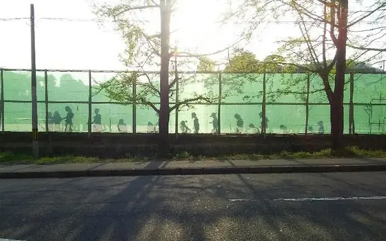 お隣の紫野高校にて…