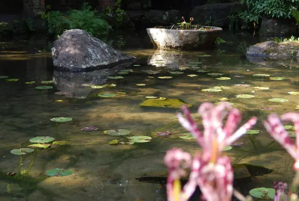 アサヒビール大山崎山荘美術館の写真・動画_image_99982