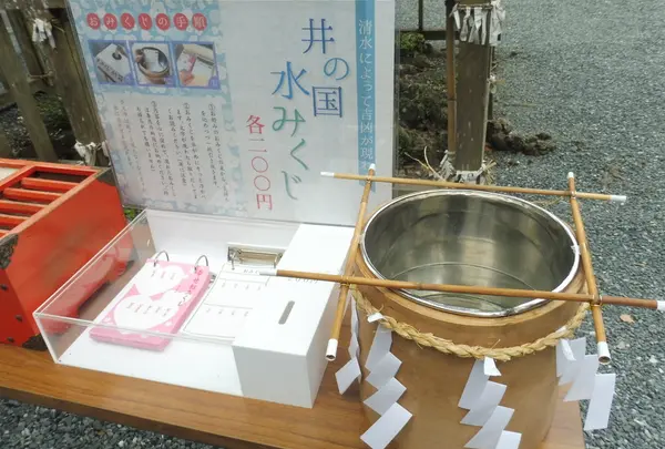当たってる…？井の国水みくじ